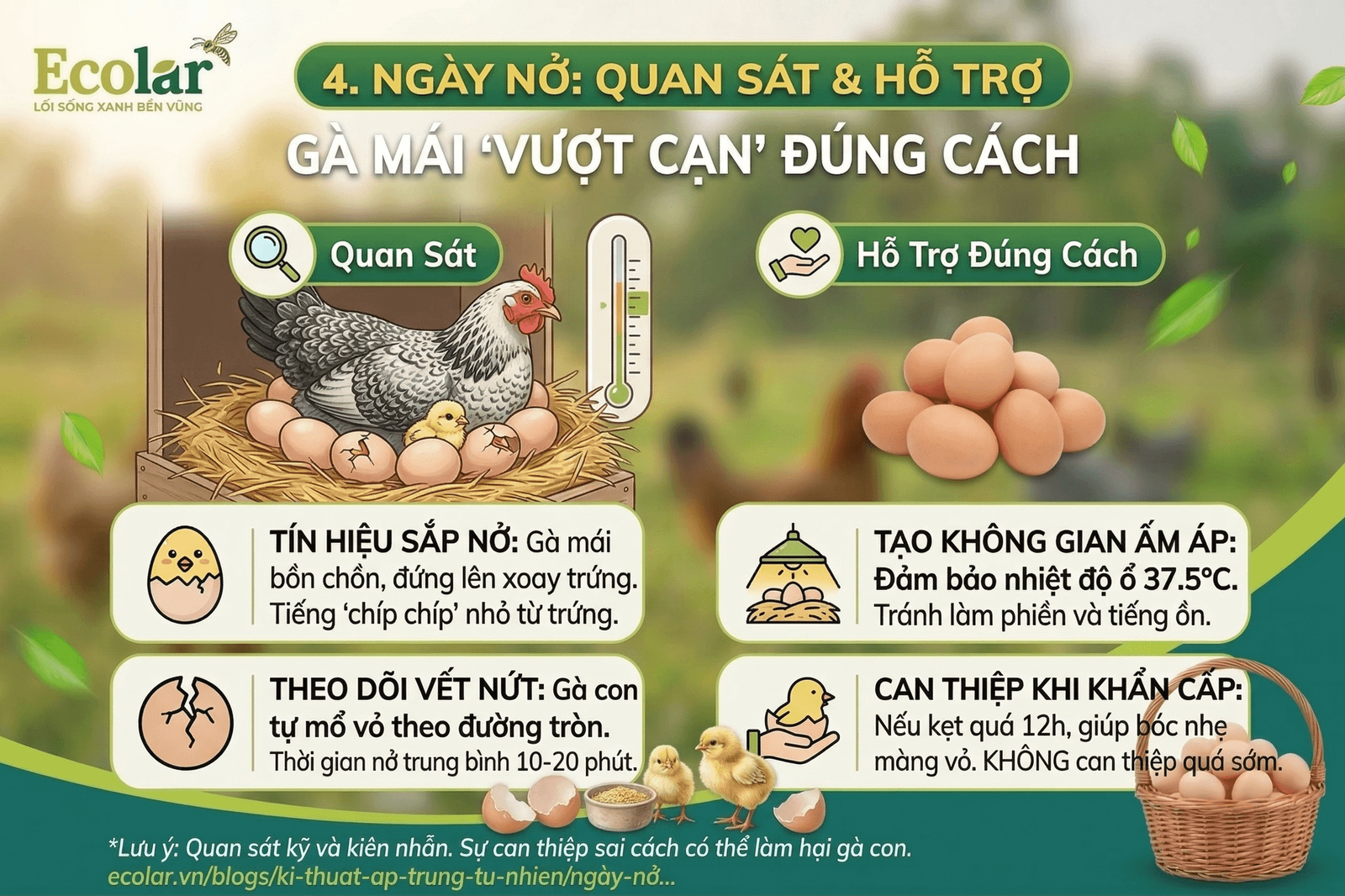 t-va-ho-tro-ga-mai-vuot-can-dung-cach_f1d89883bc684f52b8197d76666f9535 (1).png