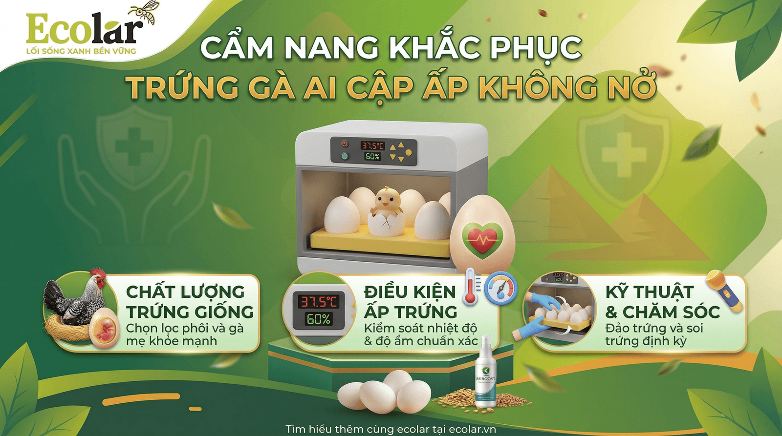 -cap-ap-khong-no-hoac-no-thap-phan-tich-tung-truong-hop-cach-khac-phuc_cc418167e5224395a548857...png
