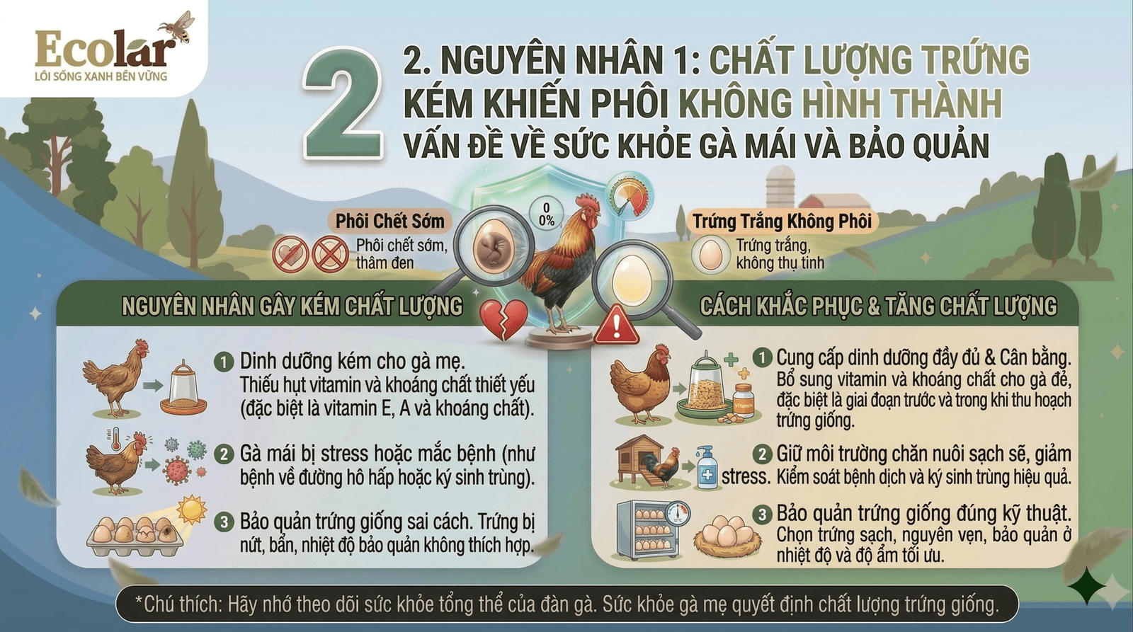 trung-kem-khien-phoi-khong-hinh-thanh_5c7d8685301c42ecadc9f3bd8f4f6d3c (1).png
