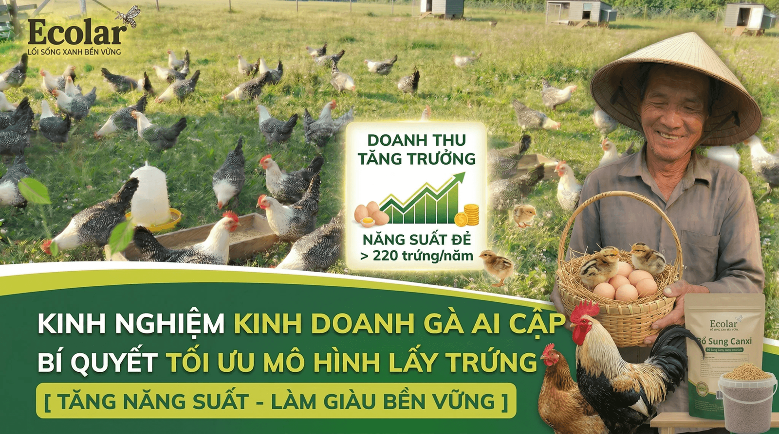 kinh-nghiem-kinh-doanh-ga-ai-cap-mo-hinh-von-va-cach-nuoi-co-loi_3d1dbfb61fdb4caaab7ff430c368d...png