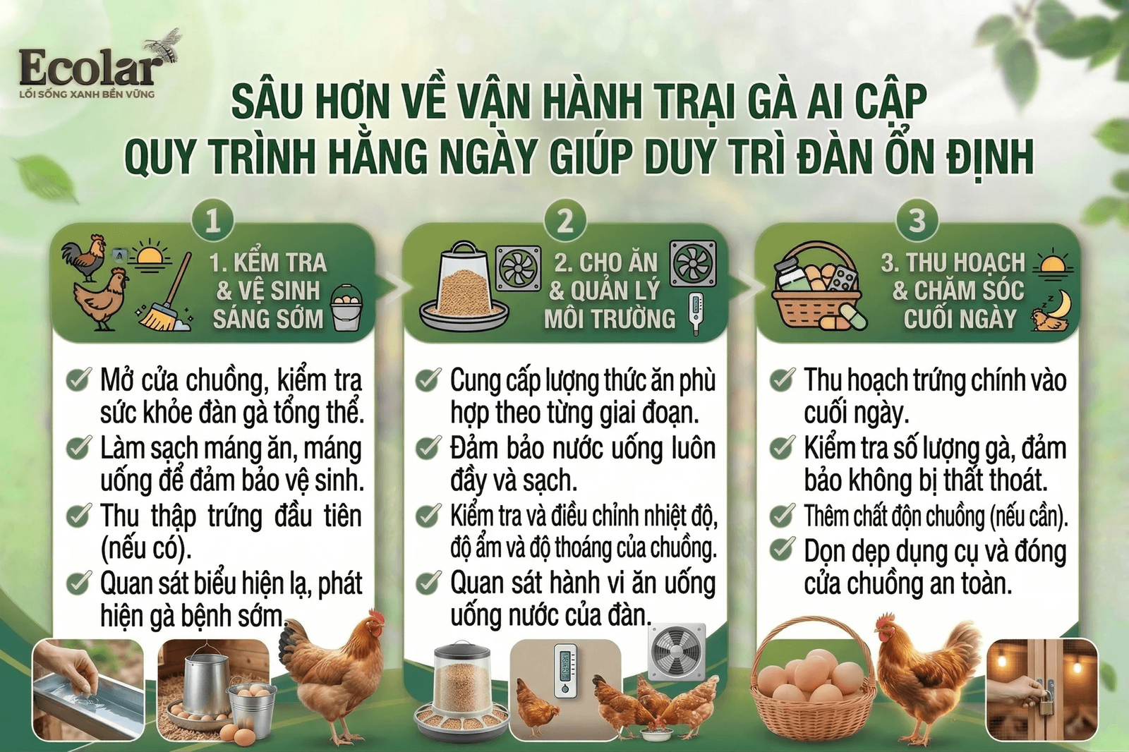 nh-hang-ngay-giup-duy-tri-dan-on-dinh_9ff8e9e966f2452780821295273ddcf8 (1).png
