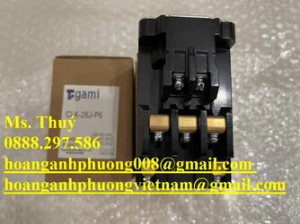 z4283681877976_2ff5c0a75cc64ea11726fe278dcd23eb.jpg