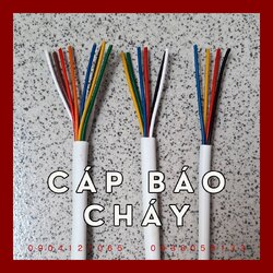 Chưa có tên (1200 x 1200 px) (62).jpg