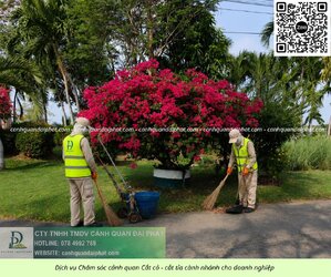 Dịch vụ chăm sóc cây xanh - cắt cỏ doanh nghiệp đồng nai 270526.jpg