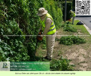 Dịch vụ chăm sóc cây xanh - cắt cỏ doanh nghiệp đồng nai 270526 4.jpg Dịch vụ chăm sóc cây xanh - cắt cỏ doanh nghiệp đồng nai 270526 4.jpg