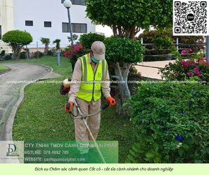 Dịch vụ chăm sóc cây xanh - cắt cỏ doanh nghiệp đồng nai 270526 6.jpg Dịch vụ chăm sóc cây xanh - cắt cỏ doanh nghiệp đồng nai 270526 6.jpg