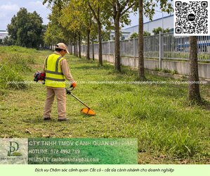 Dịch vụ cưa cây cắt cỏ doanh nghiệp đồng nai 050226 8.jpg Dịch vụ cưa cây cắt cỏ doanh nghiệp đồng nai 050226 8.jpg