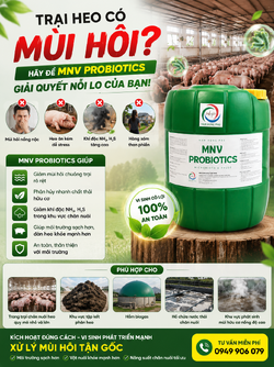 ChatGPT Image 19_18_04 1 thg 6, 2026.png