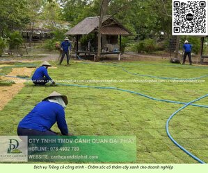 Trồng cỏ Đồng Nai 020526 6.jpg