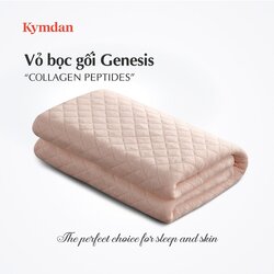 vỏ bọc gối genesis.jpg