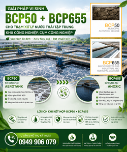 ChatGPT Image 16_50_52 7 thg 6, 2026.png