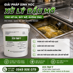 ChatGPT Image 17_39_24 7 thg 6, 2026.png