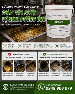ChatGPT Image 17_58_13 7 thg 6, 2026.png