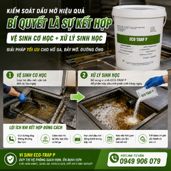 ChatGPT Image 17_52_49 7 thg 6, 2026.png