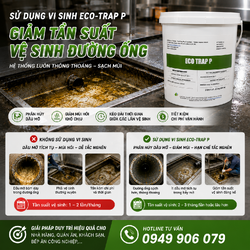 ChatGPT Image 17_55_22 7 thg 6, 2026.png