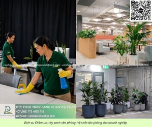 Chăm sóc cây xanh văn phòng - vệ sinh văn phòng 090626 1.jpg Chăm sóc cây xanh văn phòng - vệ sinh văn phòng 090626 1.jpg