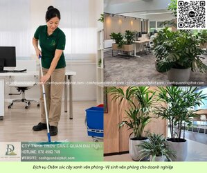 Chăm sóc cây xanh văn phòng - vệ sinh văn phòng 090626 3.jpg Chăm sóc cây xanh văn phòng - vệ sinh văn phòng 090626 3.jpg