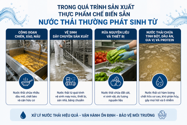 ChatGPT Image 10_12_45 18 thg 5, 2026.png