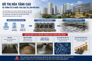 ChatGPT Image 10_24_50 15 thg 5, 2026.png