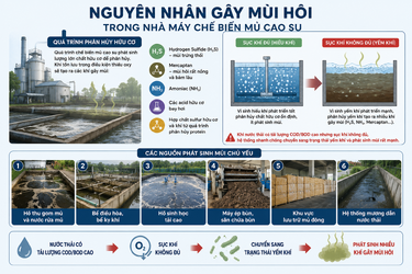 ChatGPT Image 10_37_43 14 thg 5, 2026.png