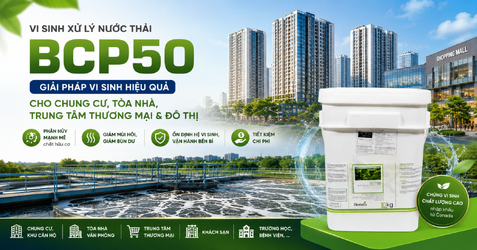 ChatGPT Image 10_38_59 15 thg 5, 2026.png