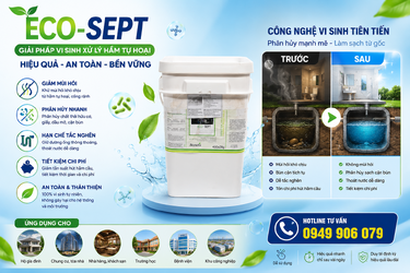 ChatGPT Image 11_17_27 22 thg 5, 2026.png