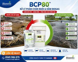 ChatGPT Image 14_55_41 17 thg 6, 2026.png