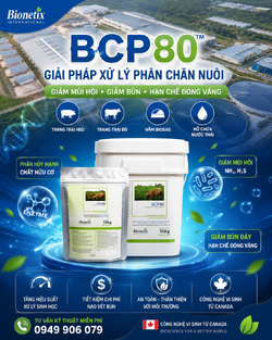 ChatGPT Image 15_06_37 17 thg 6, 2026.png