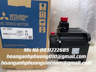 HG-SR81 4.jpg