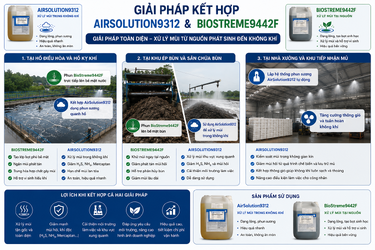 ChatGPT Image 10_50_31 14 thg 5, 2026.png
