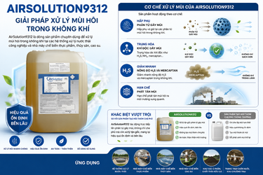 ChatGPT Image 10_50_35 14 thg 5, 2026.png