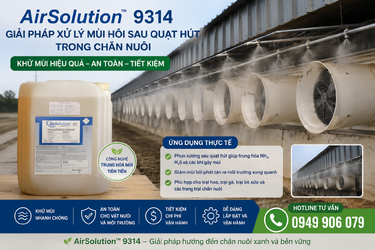 ChatGPT Image 13_21_29 16 thg 6, 2026.png