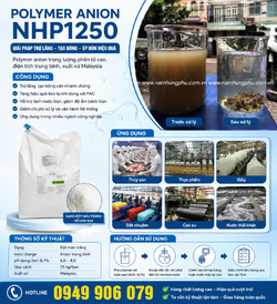 ChatGPT Image 20_02_05 18 thg 6, 2026.png