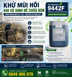 ChatGPT Image 20_47_03 4 thg 6, 2026.png