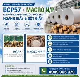 ChatGPT Image 14_39_47 17 thg 6, 2026.png