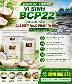 ChatGPT Image 14_47_09 18 thg 6, 2026.png