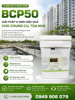 ChatGPT Image 10_11_14 15 thg 5, 2026.png