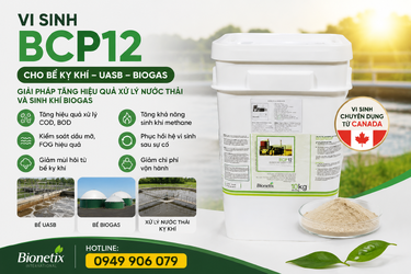 ChatGPT Image 10_07_33 15 thg 6, 2026.png