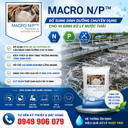 ChatGPT Image 20_24_44 23 thg 6, 2026.png