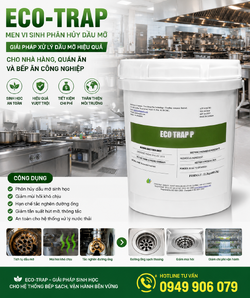 ChatGPT Image 13_41_58 25 thg 6, 2026.png