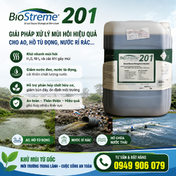 ChatGPT Image 16_50_42 29 thg 6, 2026.png