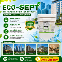 ChatGPT Image 17_20_58 29 thg 6, 2026.png