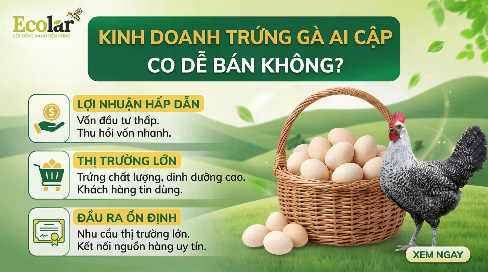 kinh-doanh-trung-ga-ai-cap-co-de-ban-khong-cach-tim-dau-ra-hieu-qua_e5673916c7774ca9af94f697ef...png