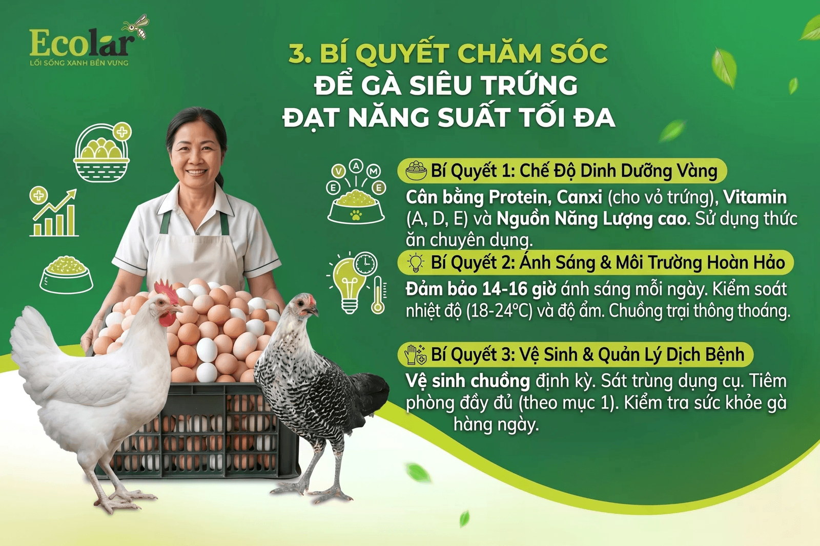 3 (1).png