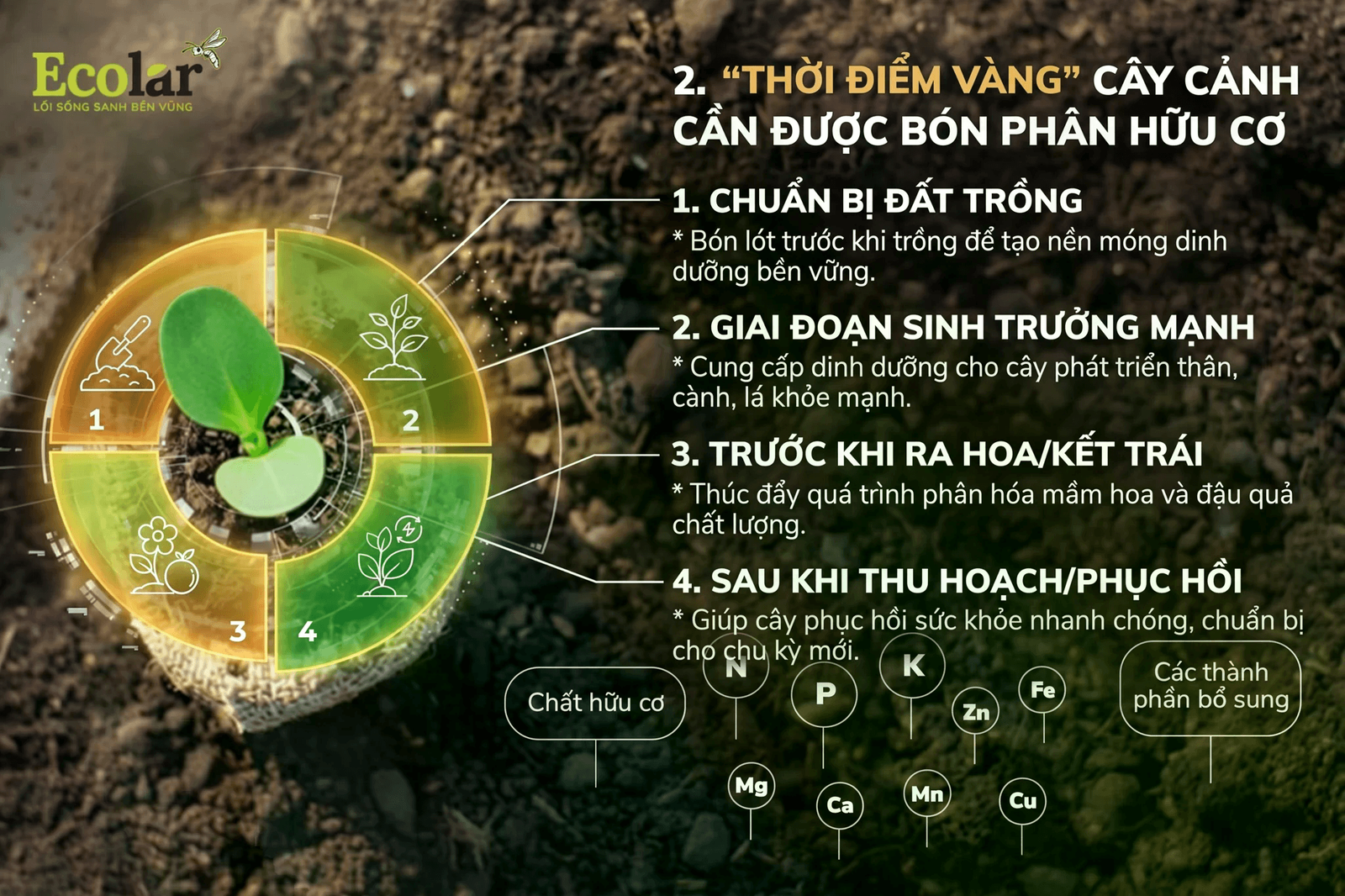 22 phân.png