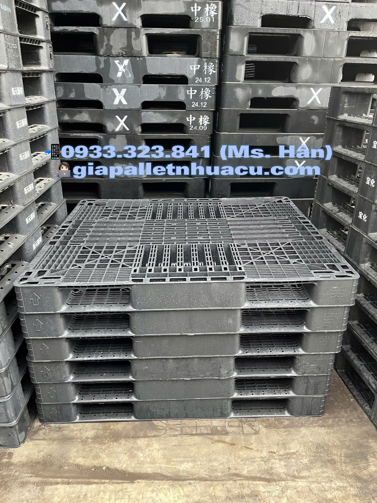 1783478787162_3480110970368334284_g3622797942812612289_3dec976d7175acd1a3dbabaf7b4b28da.jpg