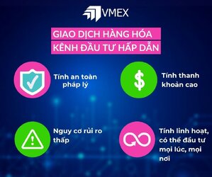 giao-dich-hang-hoa-vmex.jpg