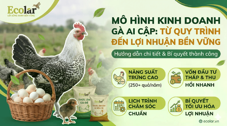 mo-hinh-kinh-doanh-ga-ai-cap-3-huong-di-hieu-qua-cho-nguoi-moi_99d831d2ec364d30a3b2b50a018f404...png