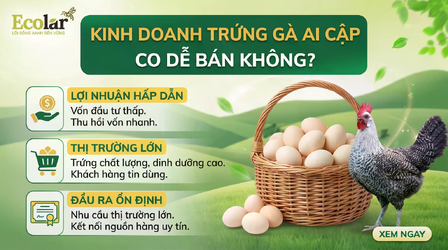 anh-bia.png