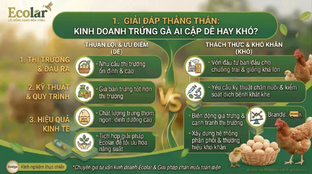 kinh-doanh-trung-ga-ai-cap-de-hay-kho_8f7cb1a297f345d490af7ba9b79baede (1).png